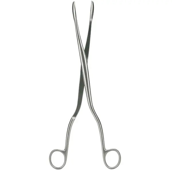 Winter Placenta Forceps